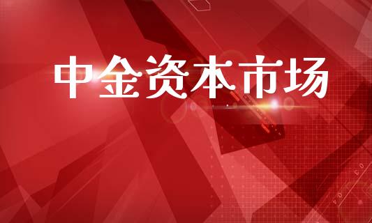 中金资本市场_https://m.15771688.com_期货手续费_第1张