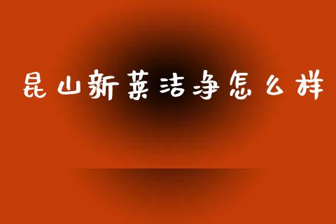 昆山新莱洁净怎么样_https://m.15771688.com_道指实时行情_第1张