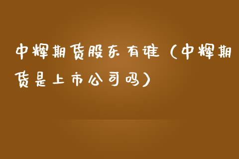 中辉期货股东有谁（中辉期货是上市公司吗）_https://m.15771688.com_期货开户_第1张