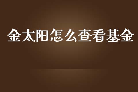 金太阳怎么查看基金_https://m.15771688.com_期货手续费_第1张