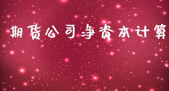 期货公司净资本计算_https://m.15771688.com_期货手续费_第1张