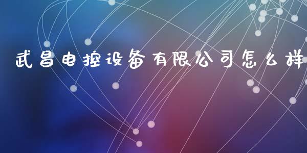 武昌电控设备有限公司怎么样_https://m.15771688.com_美国道指_第1张