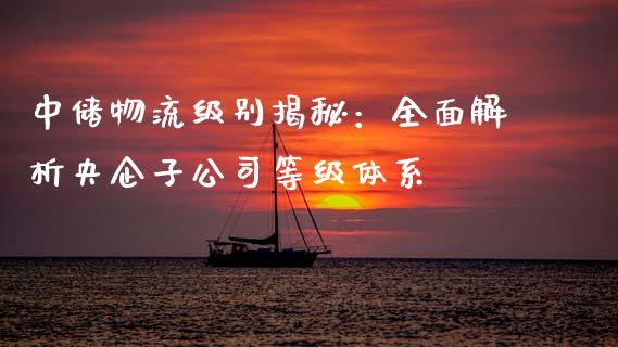 中储物流级别揭秘：全面解析央企子公司等级体系_https://m.15771688.com_道指实时行情_第1张