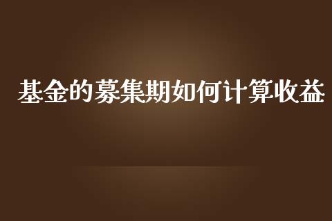 基金的募集期如何计算收益_https://m.15771688.com_道指实时行情_第1张