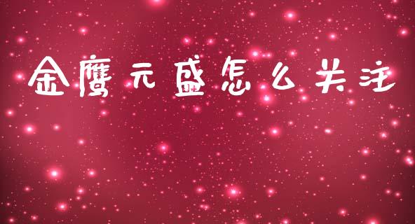 金鹰元盛怎么关注_https://m.15771688.com_美国道指_第1张