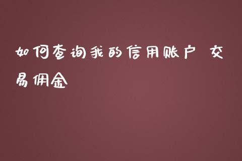 如何查询我的信用账户 交易佣金_https://m.15771688.com_期货手续费_第1张