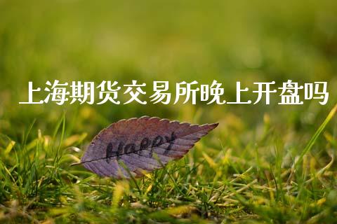 上海期货交易所晚上开盘吗_https://m.15771688.com_美国道指_第1张