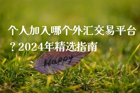 个人加入哪个外汇交易平台？2024年精选指南_https://m.15771688.com_期货开户_第1张