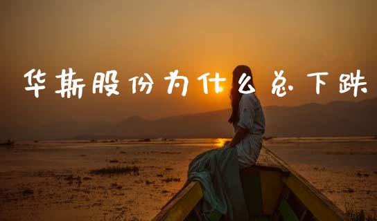华斯股份为什么总下跌_https://m.15771688.com_美国道指_第1张