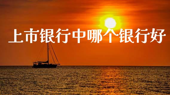 上市银行中哪个银行好_https://m.15771688.com_期货开户_第1张