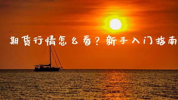期货行情怎么看？新手入门指南_https://m.15771688.com_期货手续费_第1张