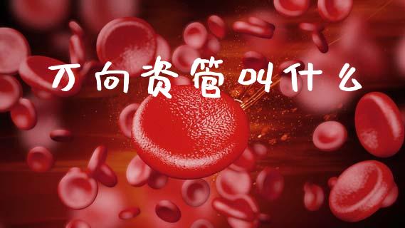 万向资管叫什么_https://m.15771688.com_道指实时行情_第1张