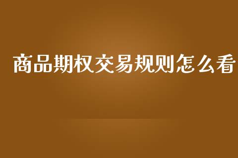 商品期权交易规则怎么看_https://m.15771688.com_美国道指_第1张