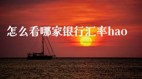 怎么看哪家银行汇率hao_https://m.15771688.com_道指实时行情_第1张