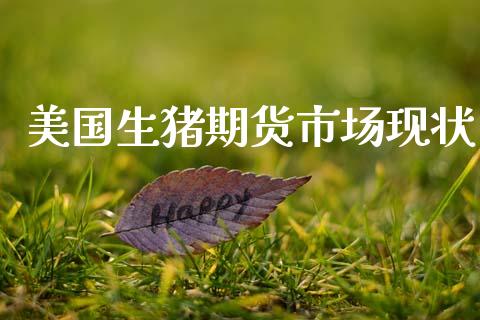 美国生猪期货市场现状_https://m.15771688.com_期货手续费_第1张