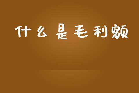 什么是毛利额_https://m.15771688.com_美国道指_第1张