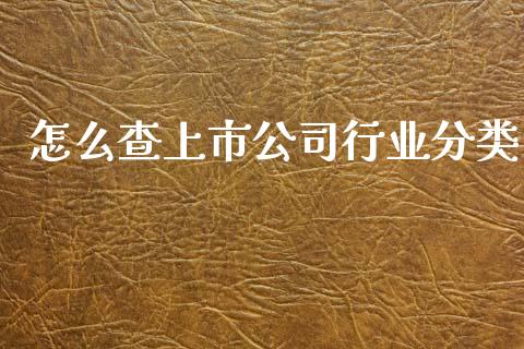 怎么查上市公司行业分类_https://m.15771688.com_道指实时行情_第1张