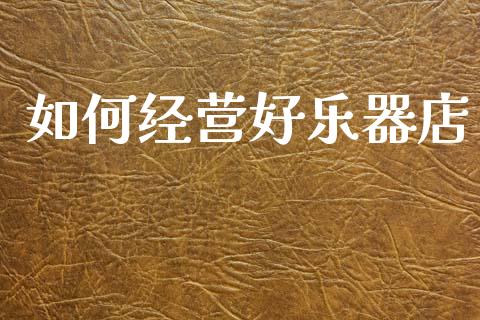 如何经营好乐器店_https://m.15771688.com_道指实时行情_第1张