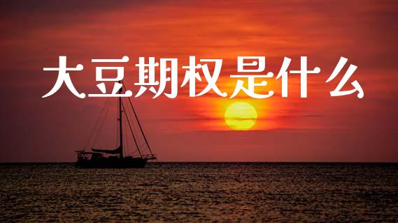 大豆期权是什么_https://m.15771688.com_期货开户_第1张