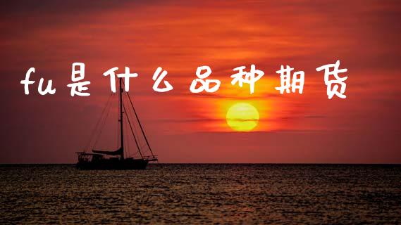fu是什么品种期货_https://m.15771688.com_期货手续费_第1张