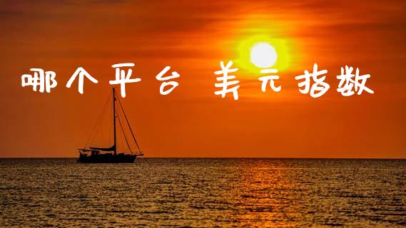 哪个平台 美元指数_https://m.15771688.com_道指实时行情_第1张