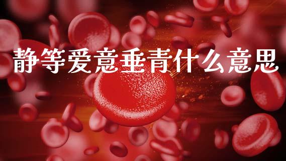 静等爱意垂青什么意思_https://m.15771688.com_期货手续费_第1张