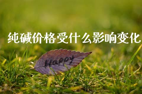 纯碱价格受什么影响变化_https://m.15771688.com_期货手续费_第1张