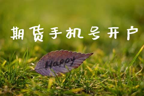 期货手机号开户_https://m.15771688.com_期货开户_第1张