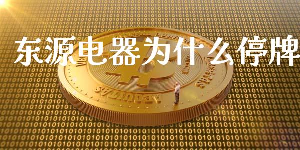 东源电器为什么停牌_https://m.15771688.com_期货开户_第1张