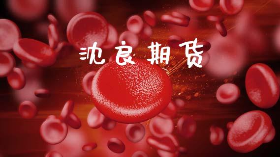 沈良期货_https://m.15771688.com_期货手续费_第1张
