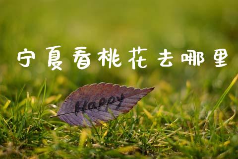 宁夏看桃花去哪里_https://m.15771688.com_期货开户_第1张