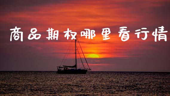 商品期权哪里看行情_https://m.15771688.com_美国道指_第1张