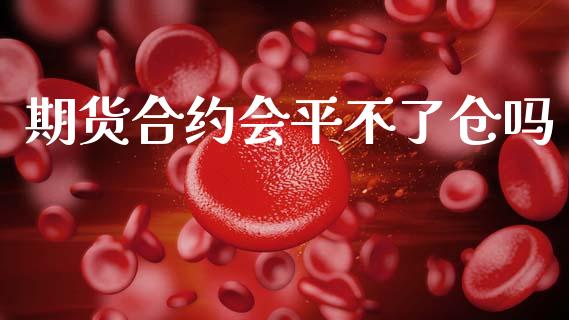 期货合约会平不了仓吗_https://m.15771688.com_期货手续费_第1张
