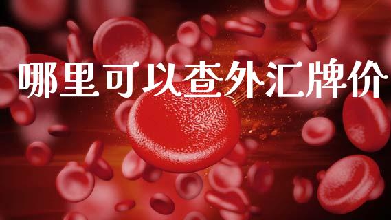 哪里可以查外汇牌价_https://m.15771688.com_道指实时行情_第1张