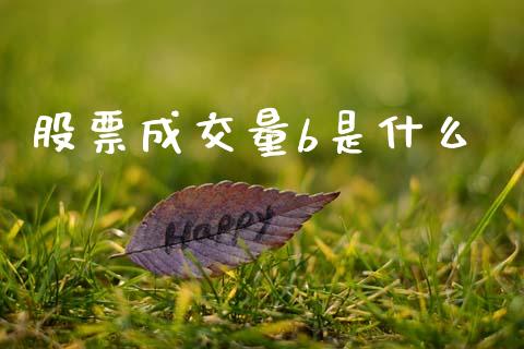 股票成交量b是什么_https://m.15771688.com_道指实时行情_第1张