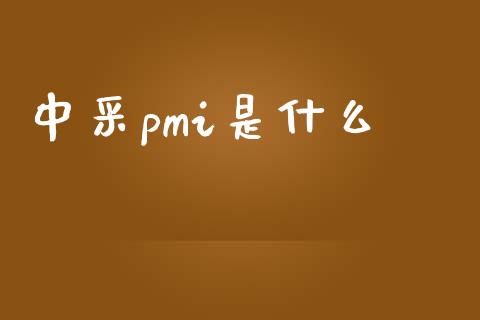 中采pmi是什么_https://m.15771688.com_期货手续费_第1张