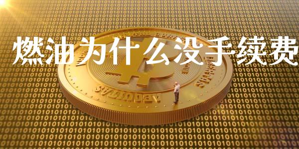 燃油为什么没手续费_https://m.15771688.com_道指实时行情_第1张