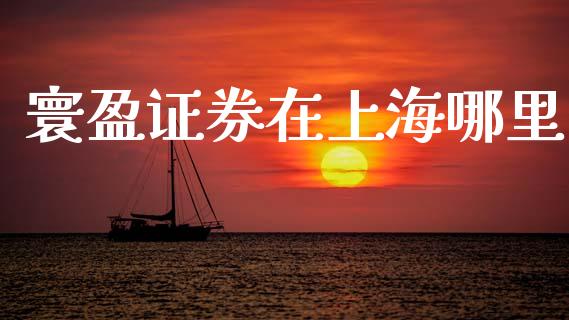 寰盈证券在上海哪里_https://m.15771688.com_期货手续费_第1张