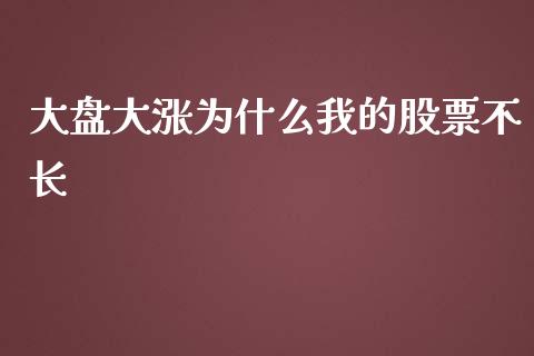大盘大涨为什么我的股票不长_https://m.15771688.com_期货手续费_第1张