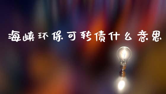 海峡环保可转债什么意思_https://m.15771688.com_期货开户_第1张