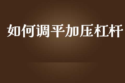 如何调平加压杠杆_https://m.15771688.com_道指实时行情_第1张