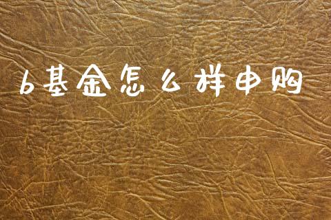b基金怎么样申购_https://m.15771688.com_道指实时行情_第1张