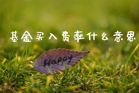 基金买入费率什么意思_https://m.15771688.com_期货手续费_第1张