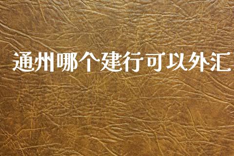 通州哪个建行可以外汇_https://m.15771688.com_道指实时行情_第1张