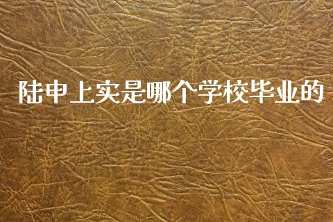 陆申上实是哪个学校毕业的_https://m.15771688.com_期货开户_第1张