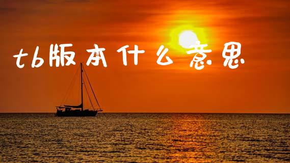 tb版本什么意思_https://m.15771688.com_期货开户_第1张