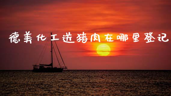 德美化工送猪肉在哪里登记_https://m.15771688.com_期货手续费_第1张