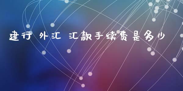 建行 外汇 汇款手续费是多少_https://m.15771688.com_期货开户_第1张