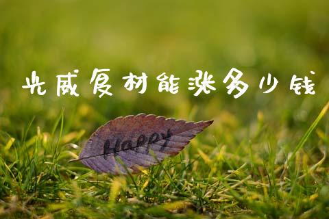 光威复材能涨多少钱_https://m.15771688.com_美国道指_第1张