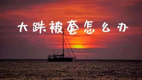 大跌被套怎么办_https://m.15771688.com_期货开户_第1张